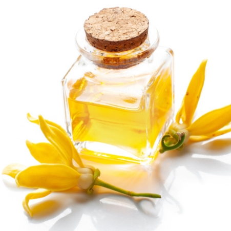Ylang-Ylang Oil (Vana Champaka)
