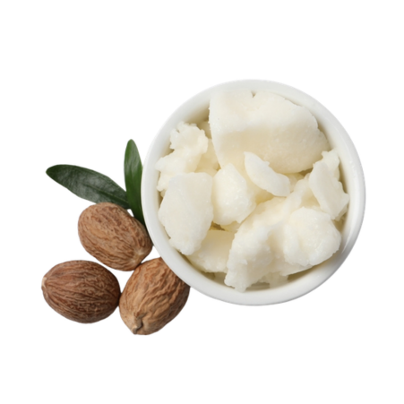 Shea Butter (Vitellaria paradoxa)