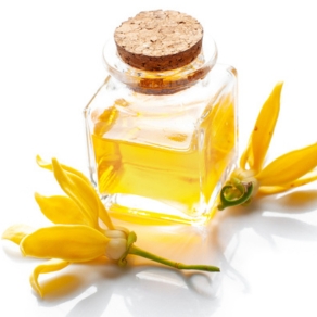 Ylang-Ylang Oil (Vana Champaka)
