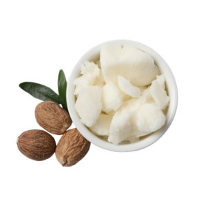 Shea Butter (Vitellaria paradoxa)